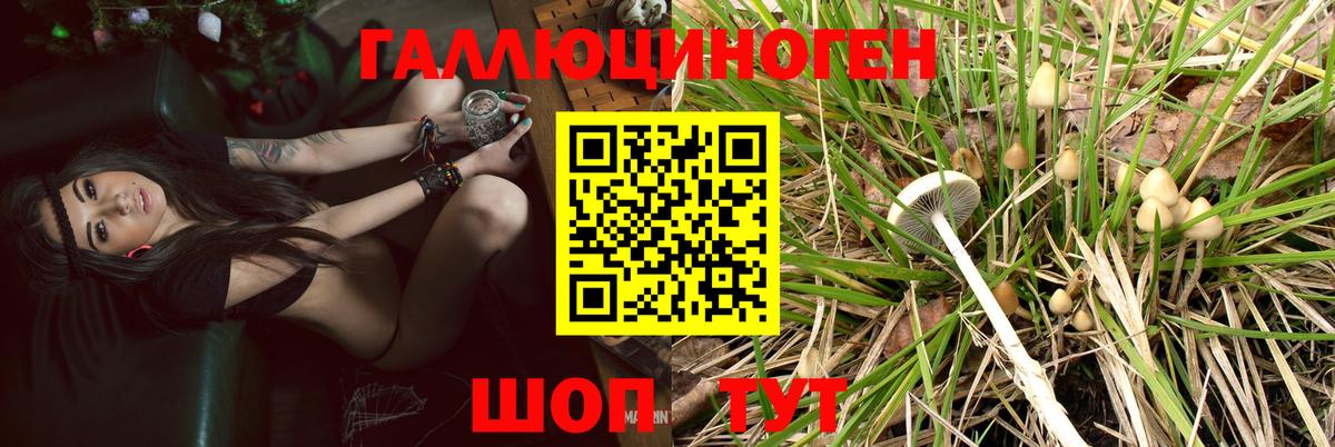 Псилоцибиновые грибы мухоморы  Псилоцибиновые грибы ЛСД  Вход с VPN  Тобольск 